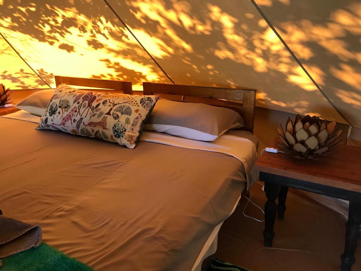 Hluhluwe Bush Camp Glamping Village Zewnętrze zdjęcie